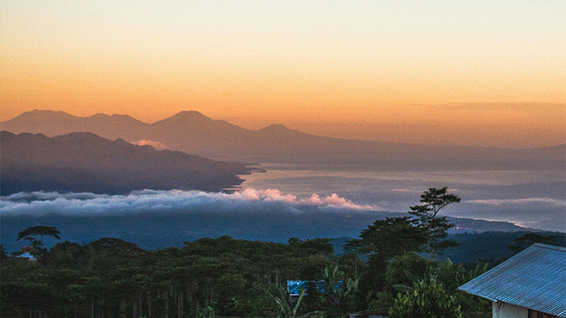 区领导莅临博艺堂bet98制药工厂，亲临一线指导工作